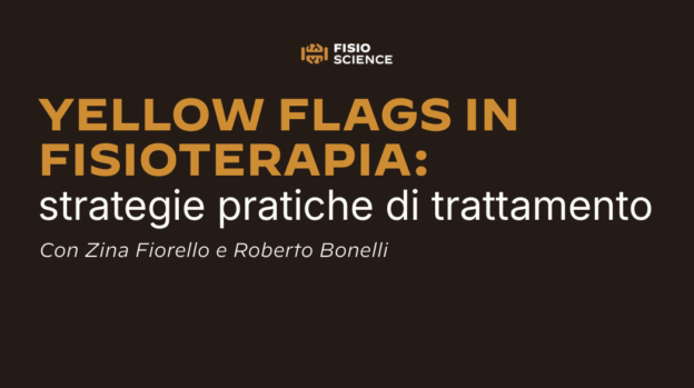 Yellow Flags in fisioterapia