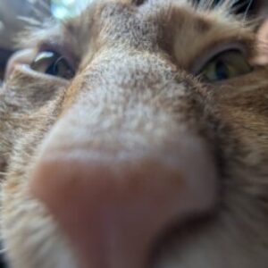 Profile photo of Alberto Bianco